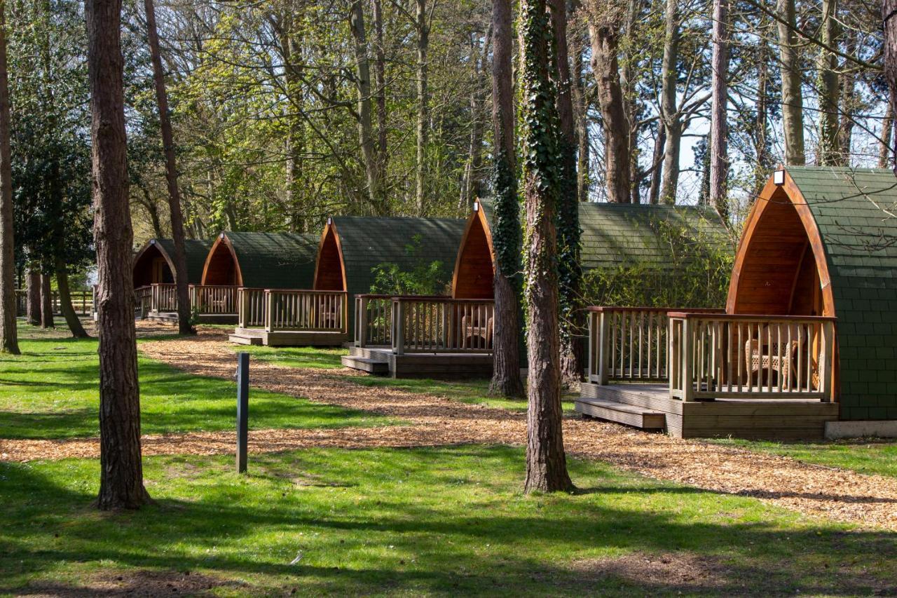 Pinewood - At Port Lympne Reserve Hythe  Exterior foto