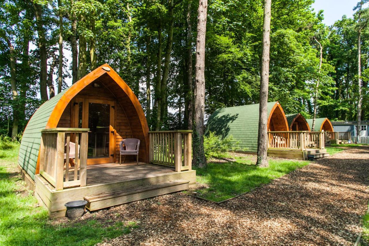 Pinewood - At Port Lympne Reserve Hythe  Exterior foto